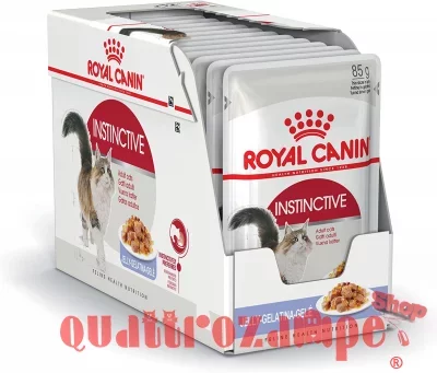 royal_canin_adult_instinctive_jelly.jpg