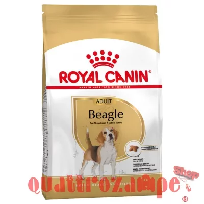 royal_canin_beagle_adult.jpeg