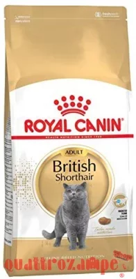 royal_canin_bristish_shorthair_adult.jpg