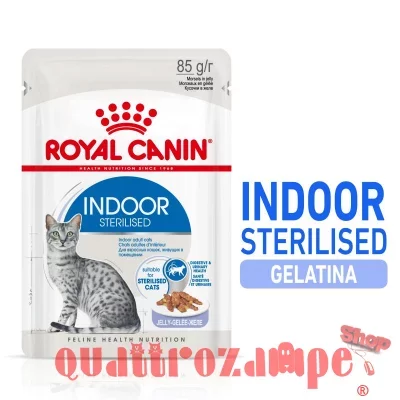 royal_canin_indoor_sterilised_jelly_umido_gatto.jpg