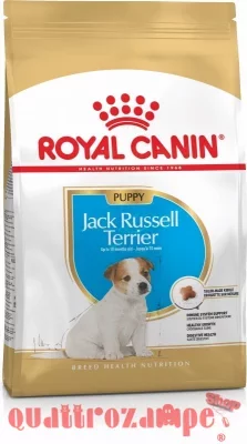 royal_canin_jack_russel_terrier_puppy.jpeg