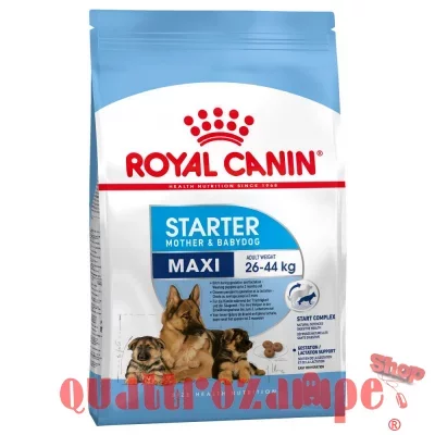 royal_canin_maxi_starter_15.jpg