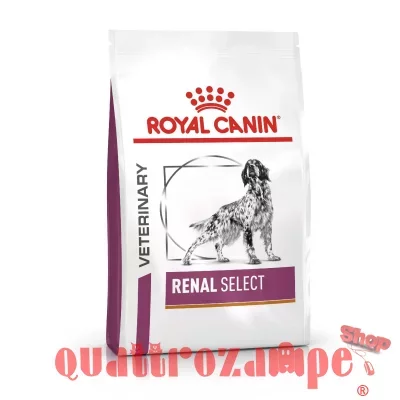 royal_canin_renal_select_dog_2_kg_.jpg