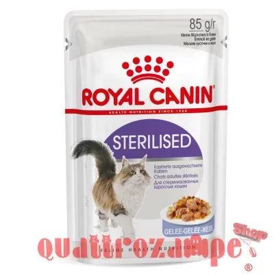royal_canin_sterilised_jelly_in_gelatina_per_Gatti.jpg