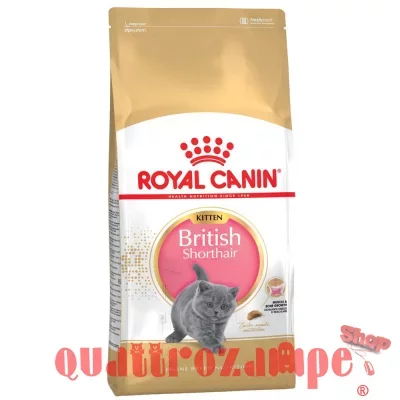 royalcanin_britsh_kitten.jpg