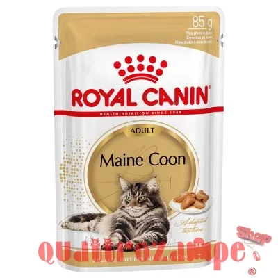 royalcanin_meincoon_UMIDO_GATTO_85_GR.jpg