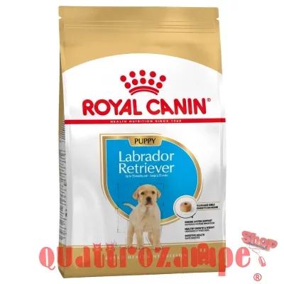 royalcanin_puppy_labradorretriever_7.jpeg