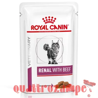 royalcanin_vet_feline_renal_rind_1.jpg