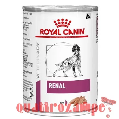royalcanin_veterinarydiet_canine_renal_410g_hs_01_6.jpg