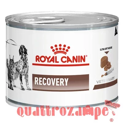 royalcanin_veterinarydiet_caninefeline_recovery_195g_hs_01_6.jpeg