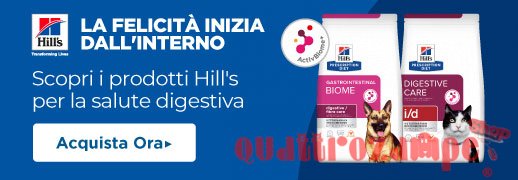 promozione banner home