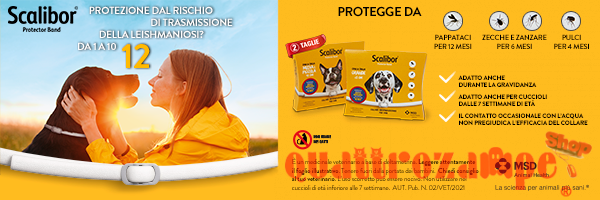 promozione banner home