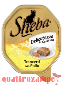 trancetti-con-pollo.png