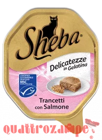 trancetti-con-salmone.png