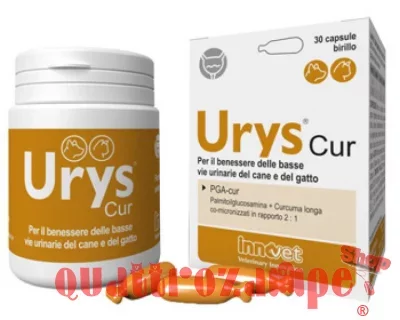 urys-cur.jpg