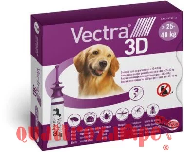 vectra_3d_25_40_kg.jpeg