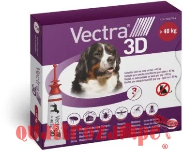 vectra_3d_oltre_40_kg.jpeg