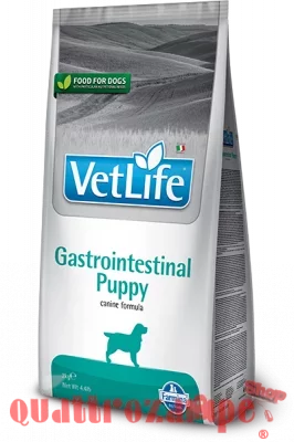 vet-life-canine-gastrointestinal-puppy.jpg